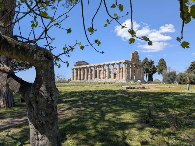 Photo by Luigi M. about hiring a Fiat Tipo in Naples (07/04/26)