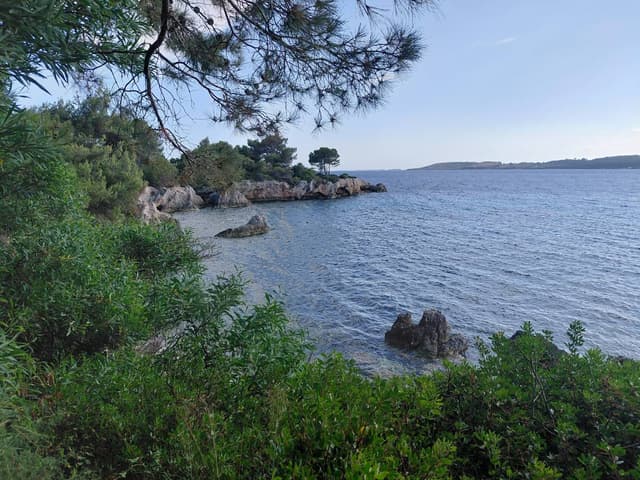 Foto 2 di Nicola C. (16/06/26)