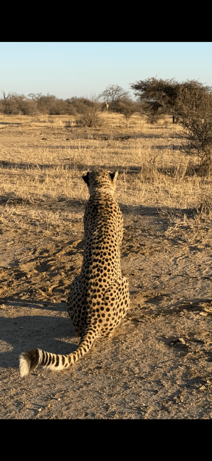 Foto 4 van Patrick P. (9-8-25)