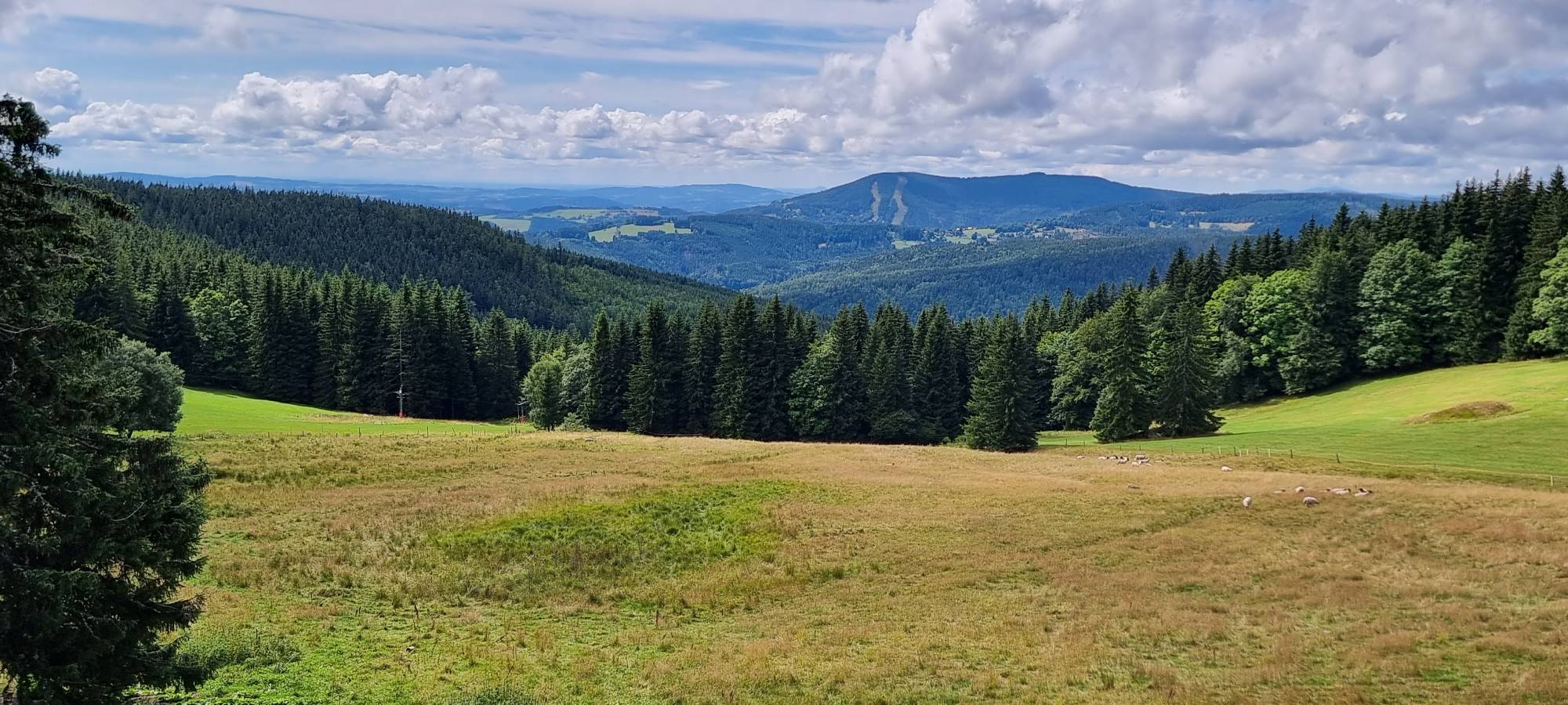 Photo 2 by Boris S. (8/14/23)