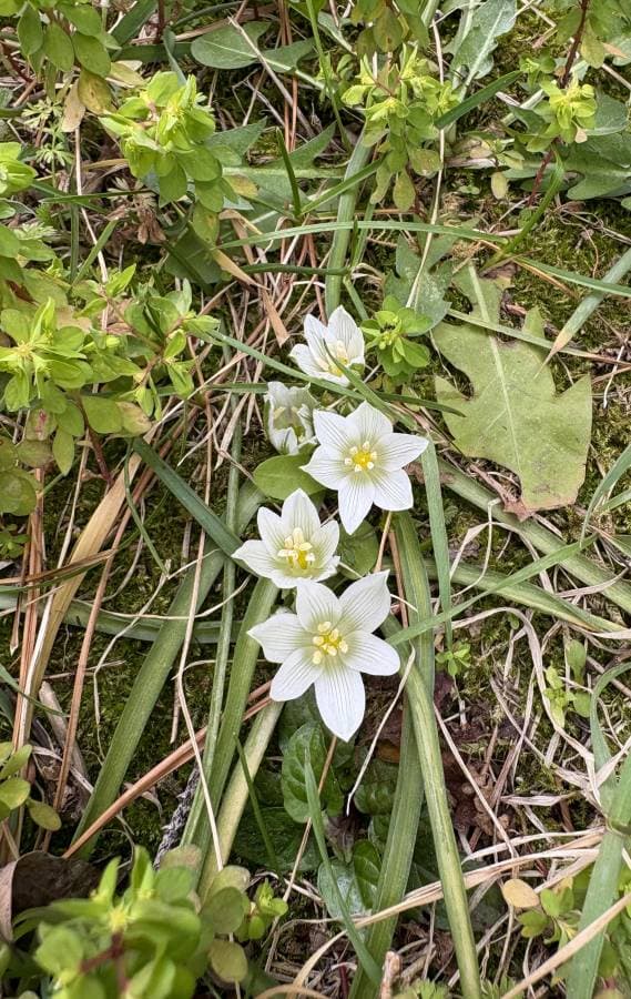 Cetin G. tarafından 4 fotoğraf (26.03.26)