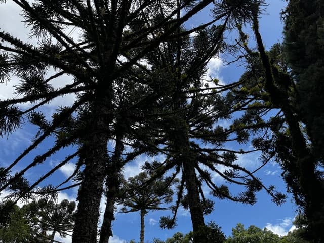 Foto 1 de Maria Celina F. (01/02/24)