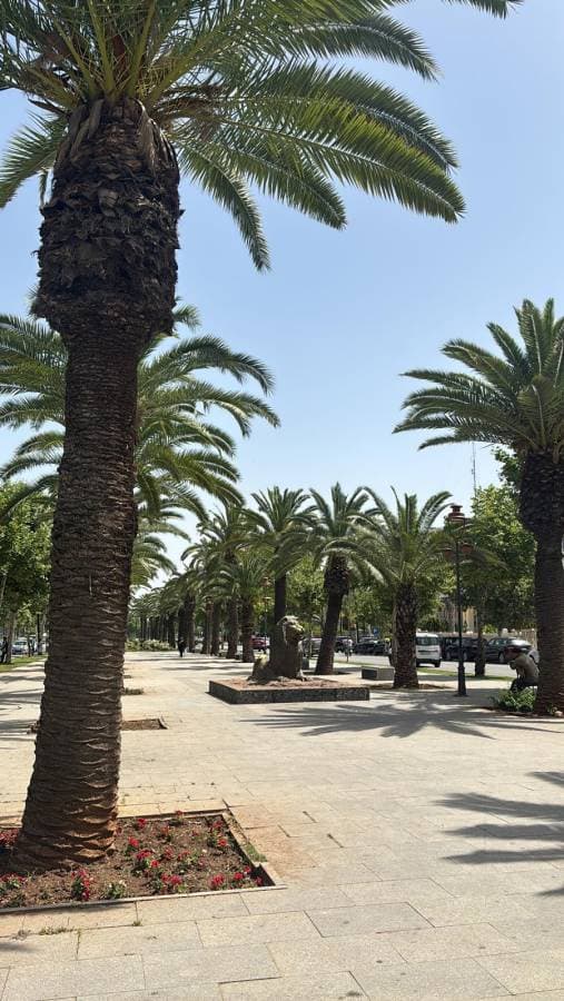 Photo 4 par Nacera B. (25/05/26)
