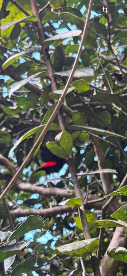 Foto 4 van Jermaine G. (27-12-25)