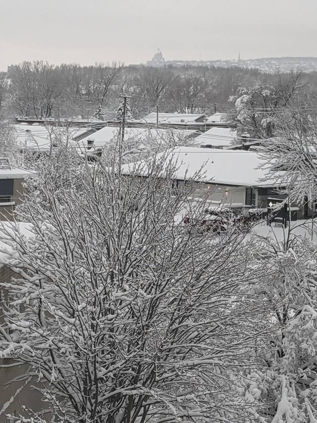 Photo 3 by Sandra D. about renting a Nissan Rogue in Montreal (12/11/23)