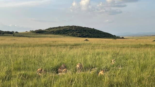 Photo 3 by Su Y. about renting a Toyota RAV4 in Kenya (7/6/23)