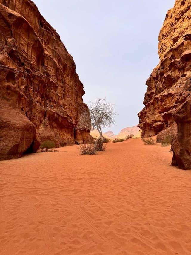 Photo 2 by Marcjanna Krystyna M. (2/4/26)