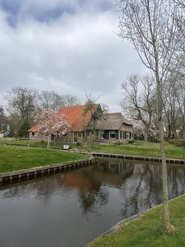 Amsterdam’da bir Ford Focus kiralama ile ilgili Besim nuri K. tarafından 2 fotoğraf (30.03.25)