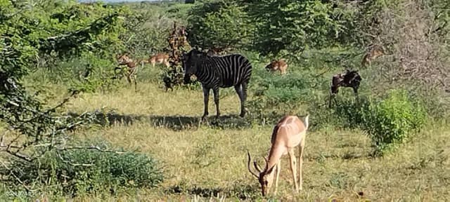 (26/2/18) SHOGO K. による写真