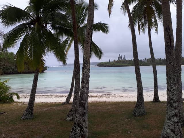 Photo 1 by Martine C. (1/26/24)