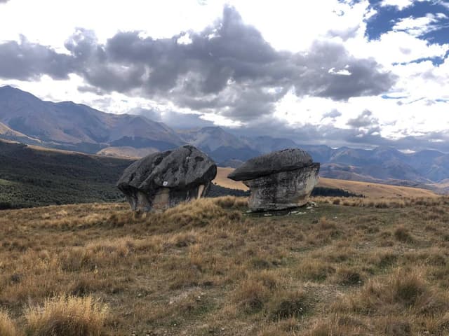 Photo 1 by Sarah S. (3/29/24)