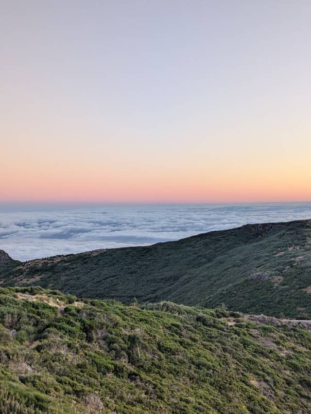Zdjęcie 1 wykonane przez Jakub M. (23.07.24)