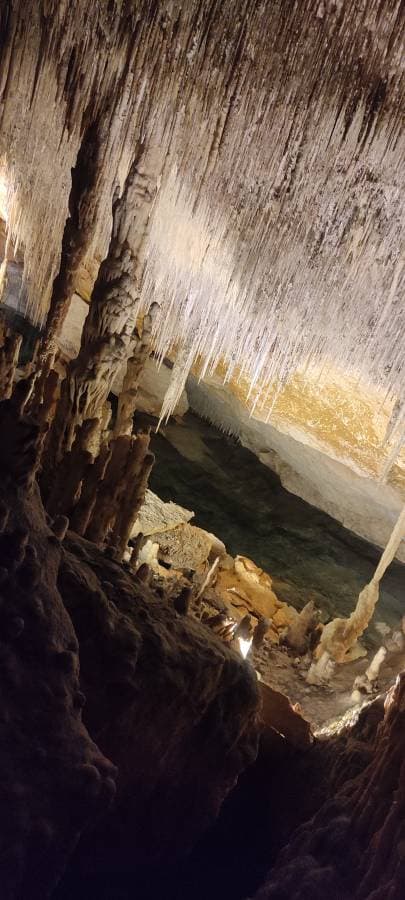 Foto 2 de Sandra S. (14/9/23)