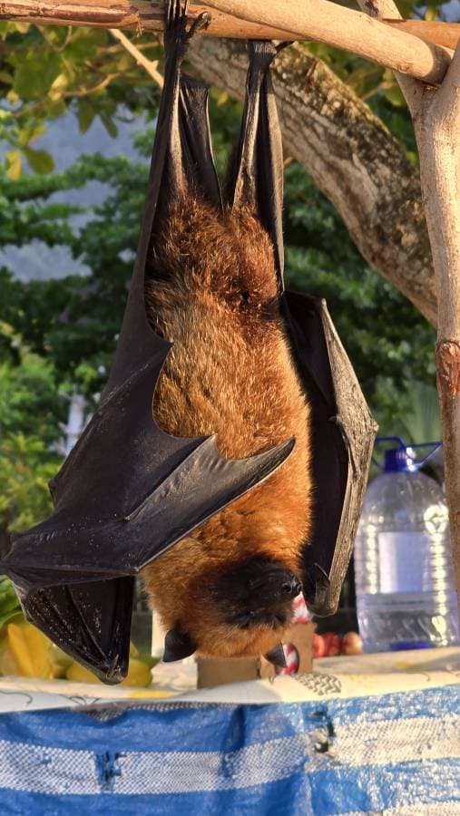 Foto 4 di laura C. (12/10/25)