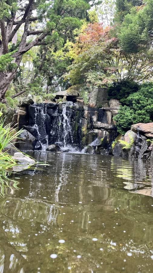 Photo 1 by Robert J. (3/24/26)