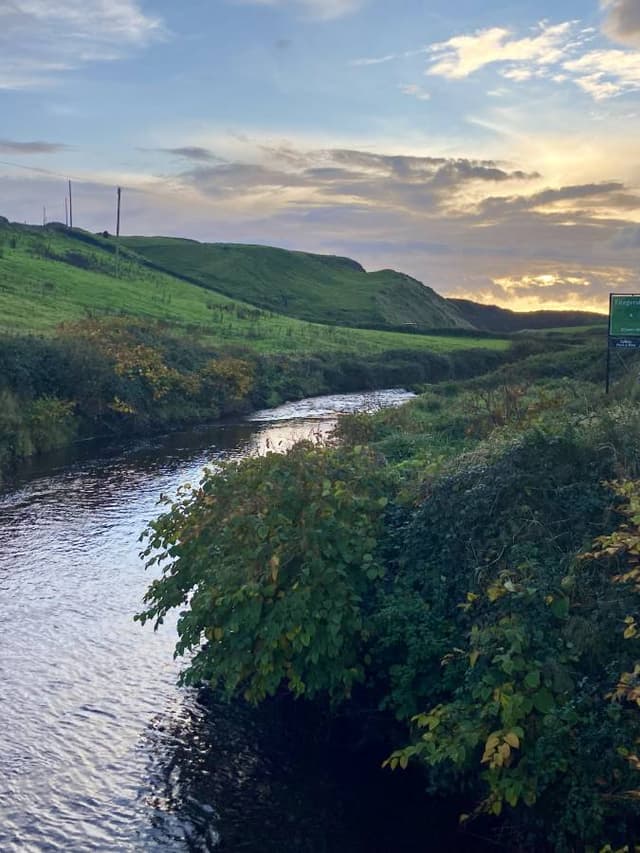 Photo 5 by Tania T. about hiring a Toyota Aygo in Dublin (31.10.23)