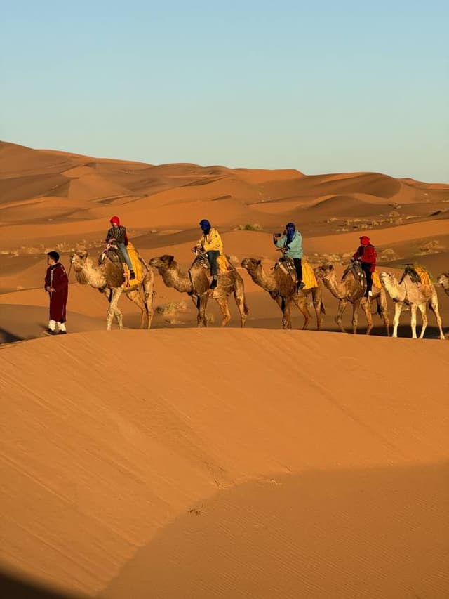 Photo by Lionel C. about hiring a Dacia Lodgy Stepway in Ouarzazate (02.04.24)