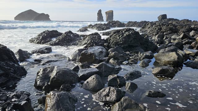 Photo 5 by Isabella V. about renting a Fiat Panda in Ponta Delgada (10/30/24)