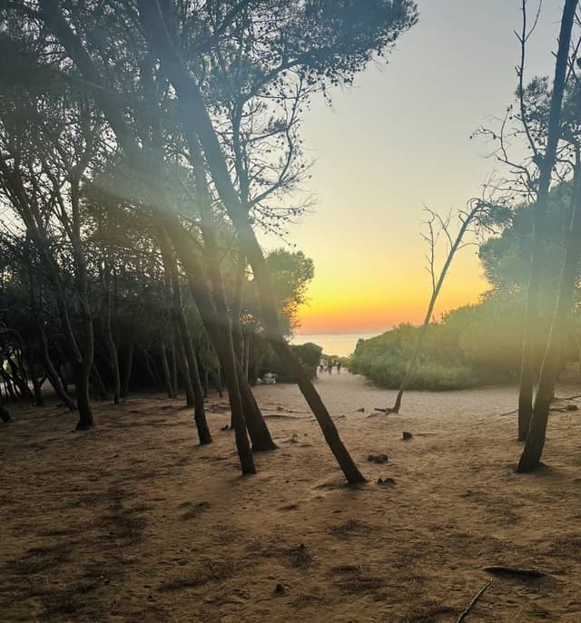 Foto 2 de Carla S. (20/07/25)