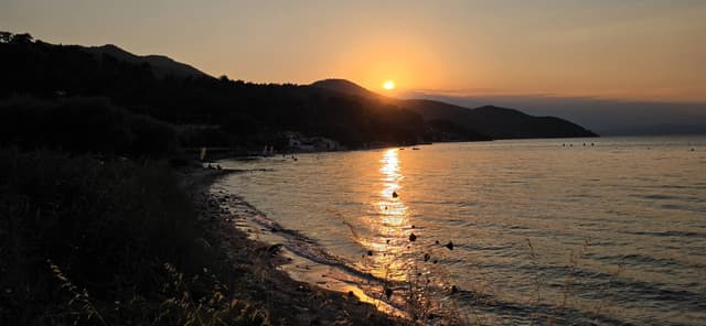 Photo 9 by Dennis S. (8/7/26)