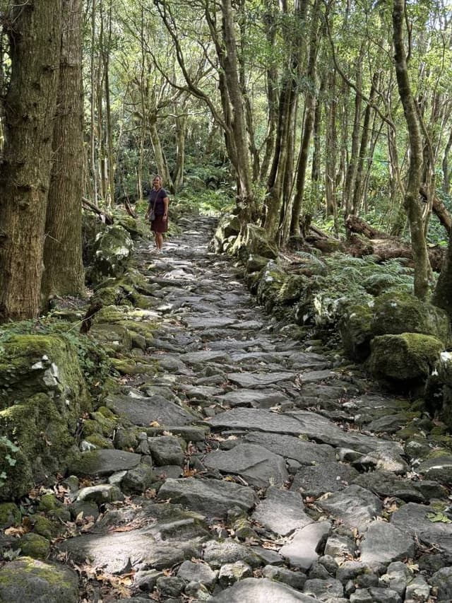 Photo 5 by Harold O. (9/11/24)