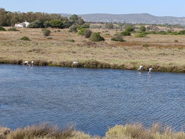 Foto 2 van Yordi G. (18-8-24)