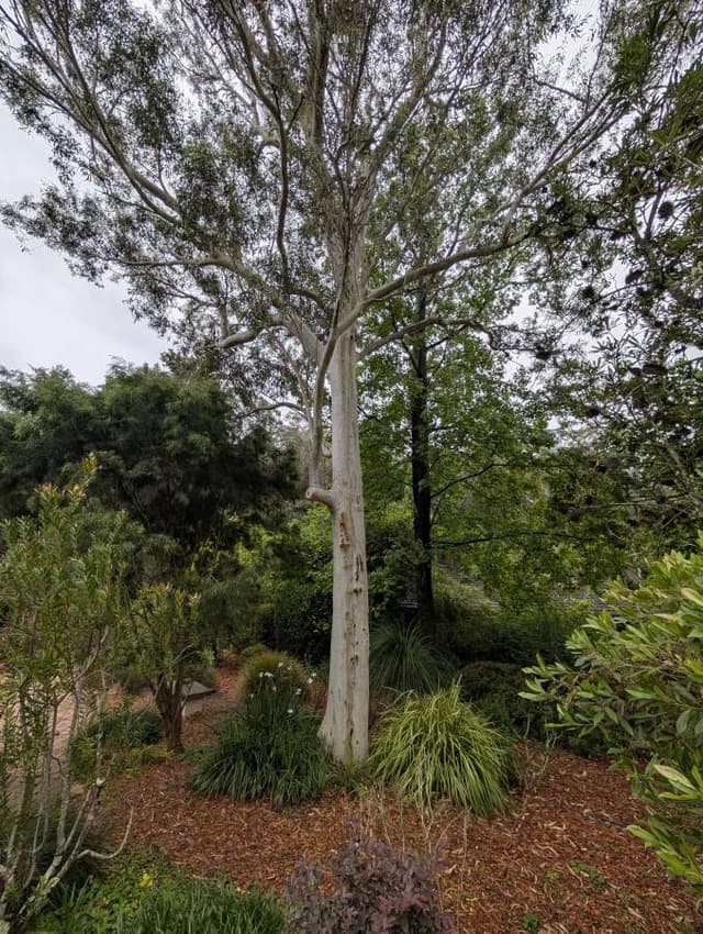 Photo 4 by William W. about renting a Polestar 2 in Sydney (11/14/24)