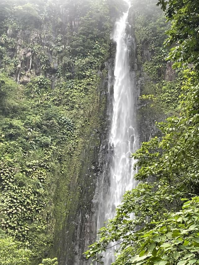 Photo 1 by Frans B. about renting a Audi Q2 in Pointe-a-Pitre (8/19/22)