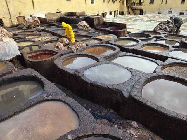 Foto 5 di Francesco L. (15/01/26)