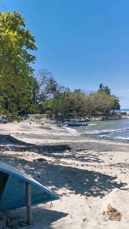 Photo 2 par Jean pierre R. (19/02/24)