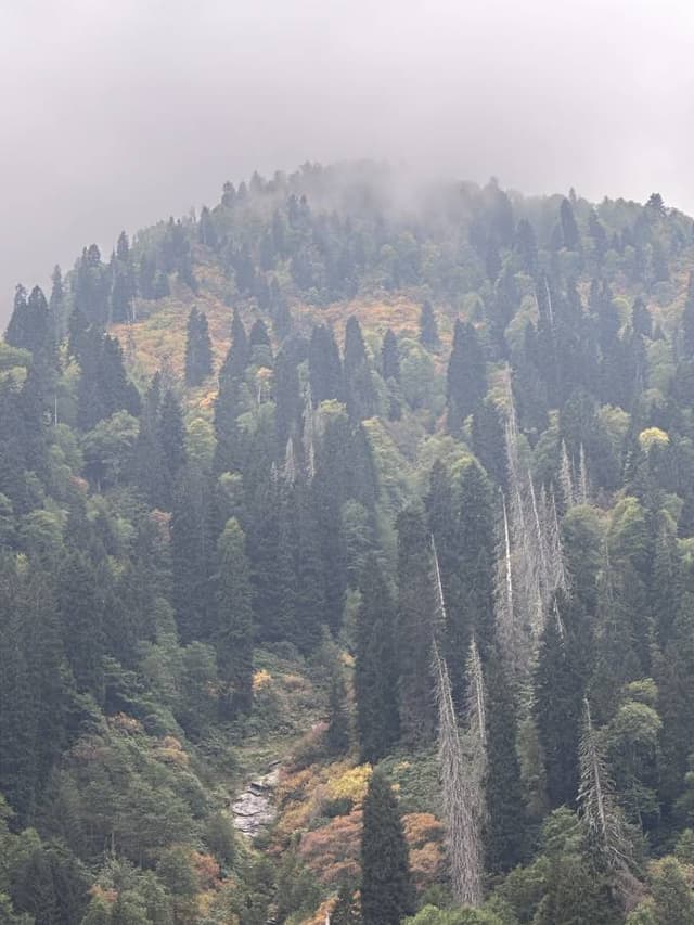 Photo 2 by YASIR J. about hiring a Fiat Egea in Trabzon (13/10/23)