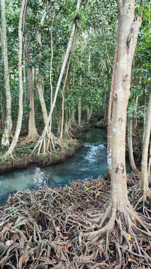 Foto 5 von Claudia D. (12.1.24)