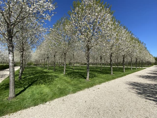 Photo 1 par Christian U. (12/04/25)