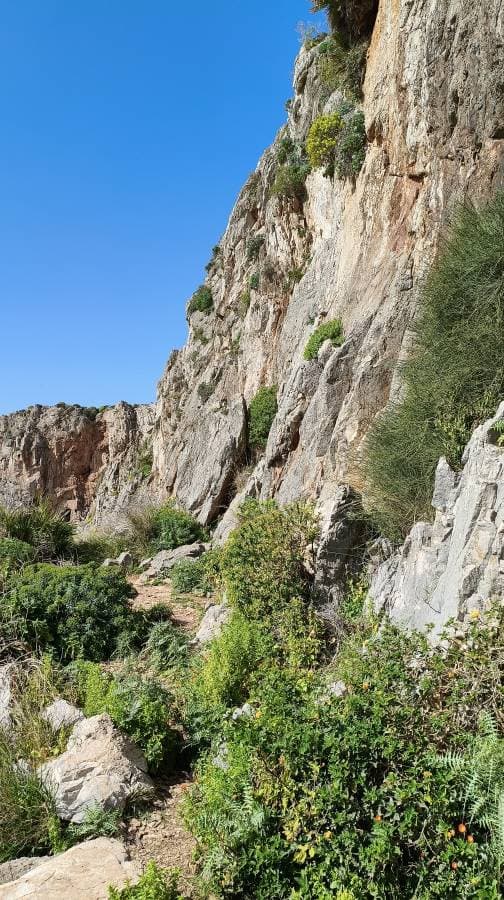 Zdjęcie 1 wykonane przez Piotr K. (19.03.26)