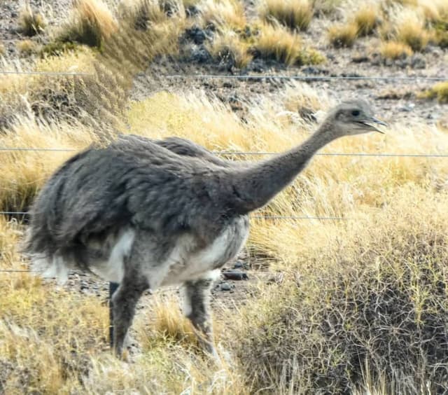 Zdjęcie 6 wykonane przez Witold K. (25.03.26)