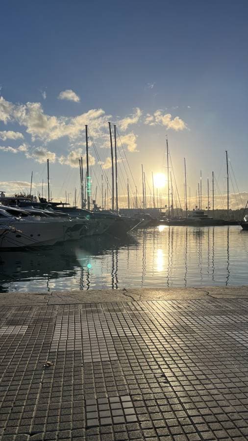 Palma de Mallorca Havalimanı’nda bir Toyota C-HR kiralama ile ilgili Hasmet O. tarafından bir fotoğraf (30.11.22)