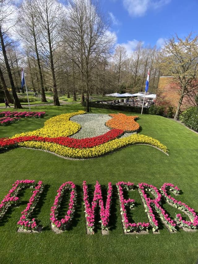 Amsterdam’da bir Ford Focus kiralama ile ilgili Besim nuri K. tarafından 3 fotoğraf (30.03.25)