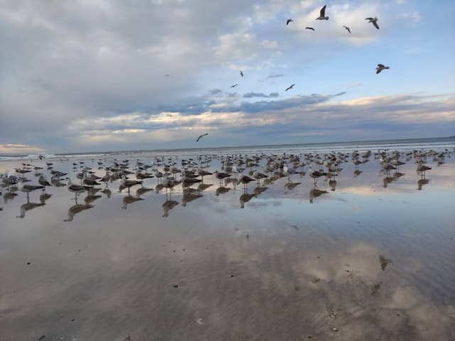 Фото 1 от Rafael B. об аренде Toyota Corolla в аэропорту Порту (ОРО) (09.02.23)