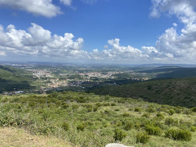 Photo 3 by Jose J. (5/23/26)