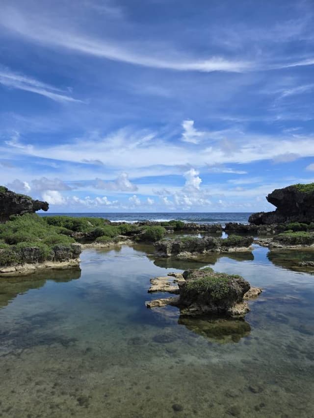 Jaechun R.의 사진 4 (24. 10. 17.)