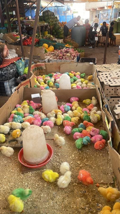 Photo 1 par benatou K. (31/07/25)