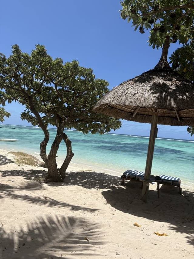 Photo par Laetitia L. (03/11/25)