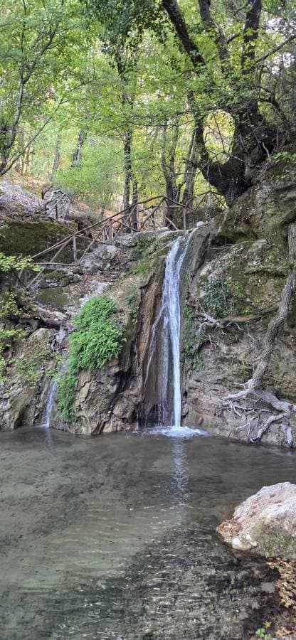 Photo 4 by Olav H. (10/21/25)