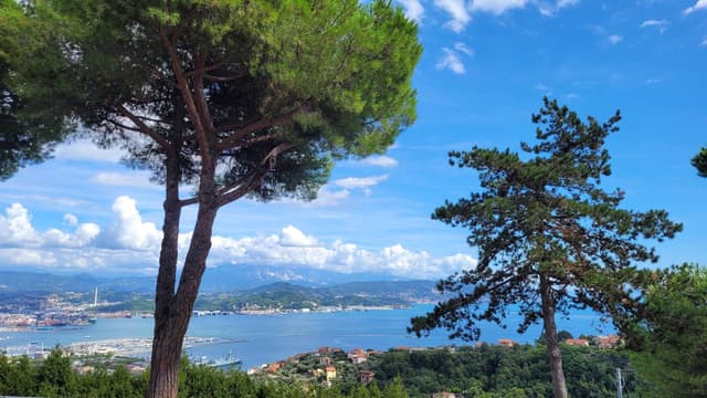 Photo 4 by Raymond C. about hiring a Volkswagen Polo at Florence Airport (11/09/24)