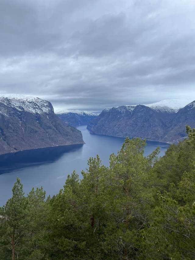 Photo 1 by Teresa J. about hiring a Toyota ProAce City in Norway (23/03/26)