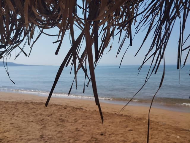 Foto 3 di giuseppe P. (01/07/25)