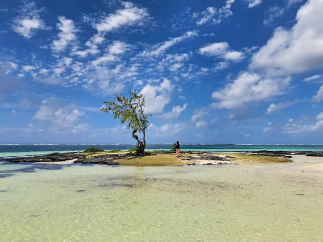 Photo 1 by Coralie U. (2/22/26)