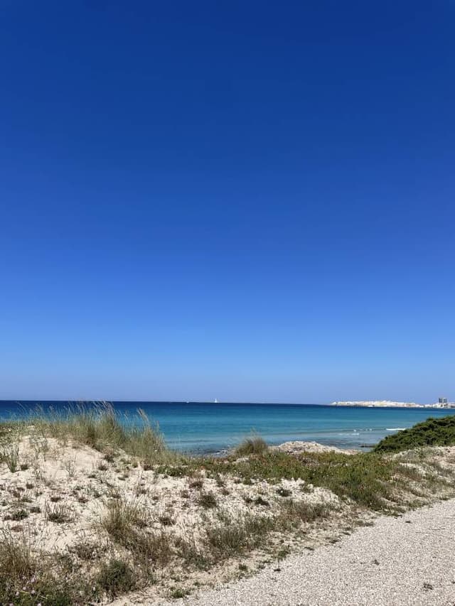 Photo 3 by Cristina S. about renting a Fiat Panda in Brindisi (6/2/25)