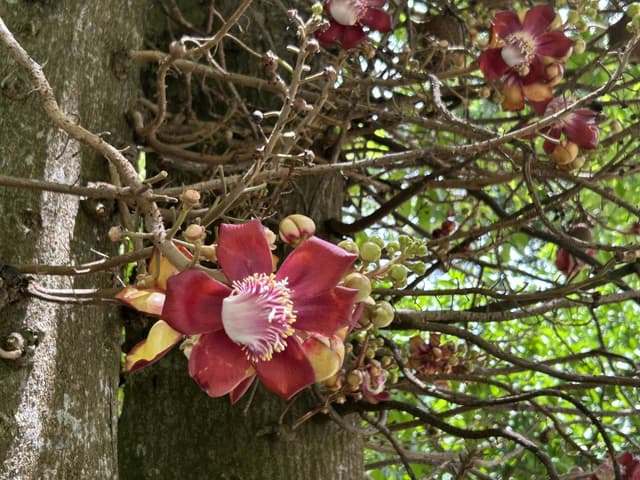 Photo 3 par Michael C. (29/07/25)