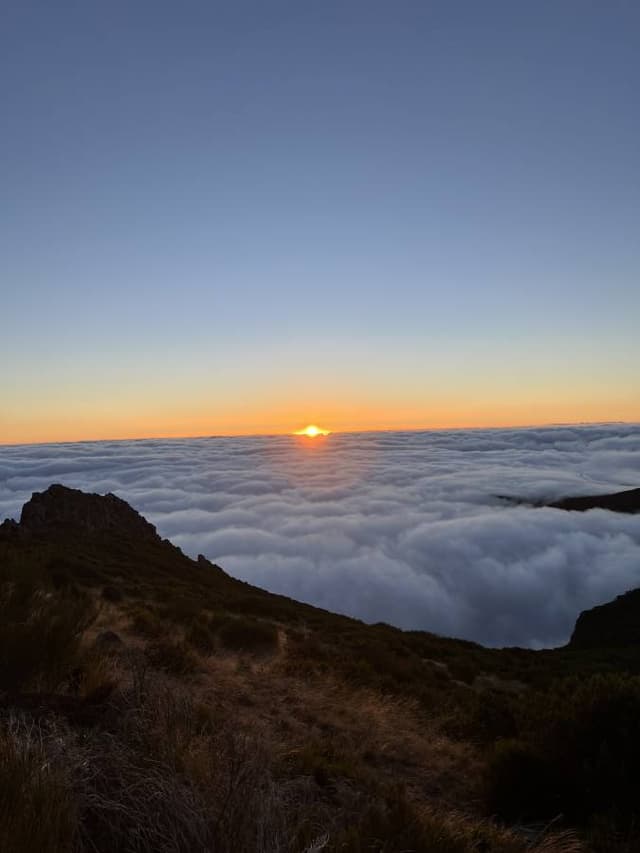 Photo 1 by Merijn B. (10/31/25)